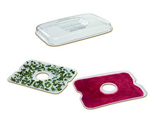 Load image into Gallery viewer, Hamilton-Beach 32100C Food Dehydrator