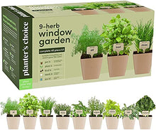 Load image into Gallery viewer, 9 Herb Window Garden - Indoor Organic Herb Growing Kit - Kitchen Windowsill Starter Kit - Easily Grow 9 Herbs Plants from Seeds with Comprehensive Guide - Unique Gardening Gifts for Women & Men (9 Herb Window Garden)