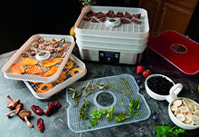 Load image into Gallery viewer, Hamilton-Beach 32100C Food Dehydrator