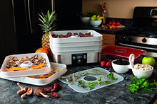 Load image into Gallery viewer, Hamilton-Beach 32100C Food Dehydrator