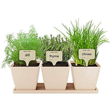 Load image into Gallery viewer, 9 Herb Window Garden - Indoor Organic Herb Growing Kit - Kitchen Windowsill Starter Kit - Easily Grow 9 Herbs Plants from Seeds with Comprehensive Guide - Unique Gardening Gifts for Women & Men (9 Herb Window Garden)