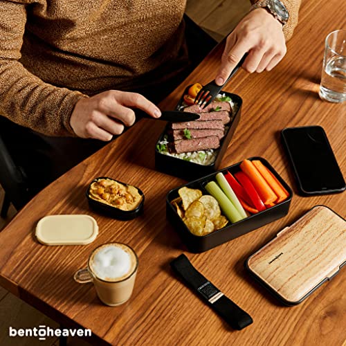 Premium Bento Lunch Box in 8 Modern Colors, 2 Compartments, Leak