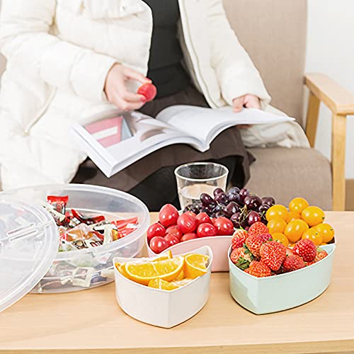 Durable Plastic Serving Tray Divided Serving Tray Portable 5 Compartment Snack  Tray with Lid Ideal for Parties Picnics Entertaining Candy Fruits Nuts  Organizer